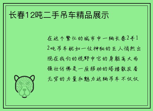 长春12吨二手吊车精品展示